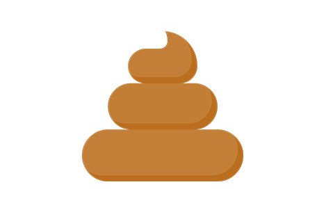 粪便