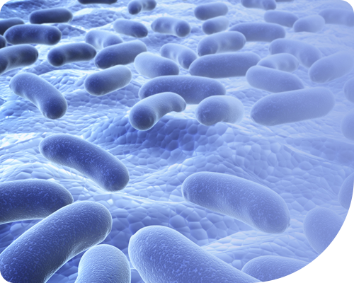 VITA GutMicrobiome 肠道菌群单细菌转录组产品