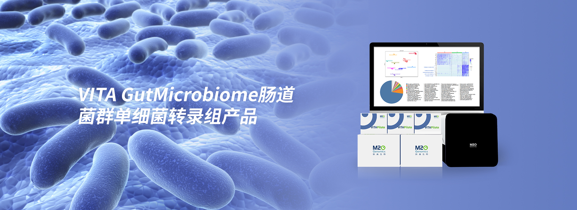 VITA GutMicrobiome 肠道菌群单细菌转录组产品