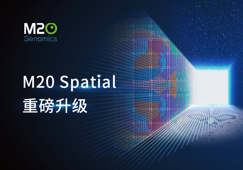 重磅发布｜全样本空间全转录组技术M20 Spatial性能全新升级