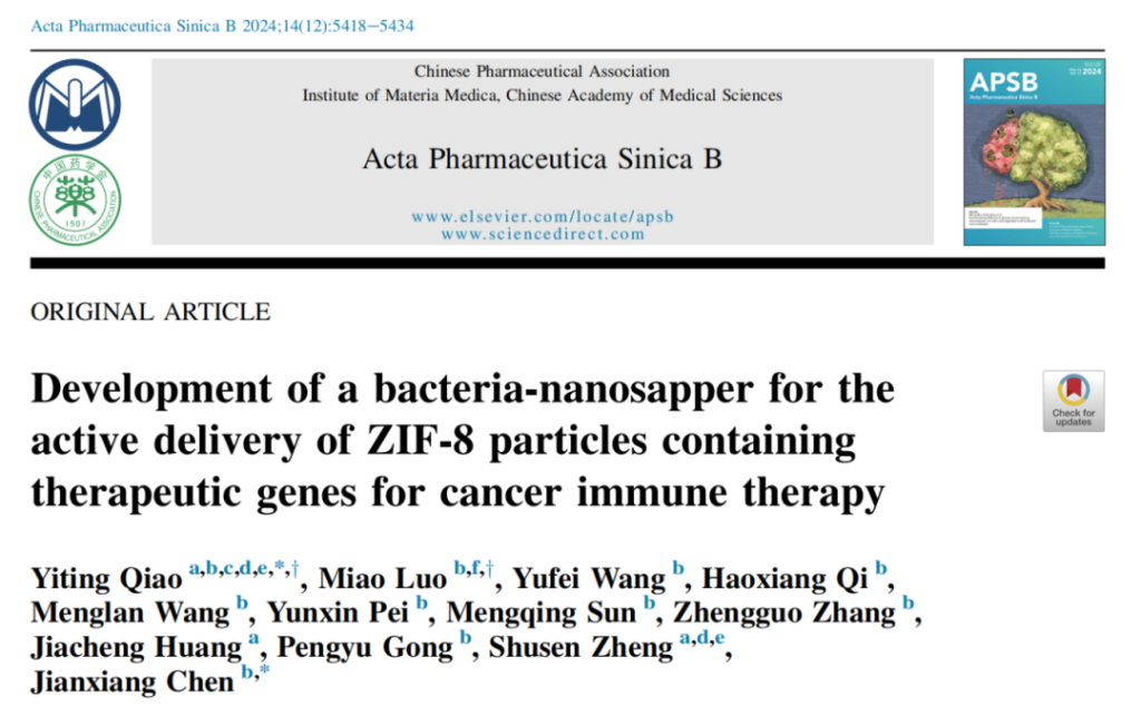 Development of a bacteria-nanosapper for the active delivery of ZIF-8 particles containing therapeutic genes for cancer immune therapy
