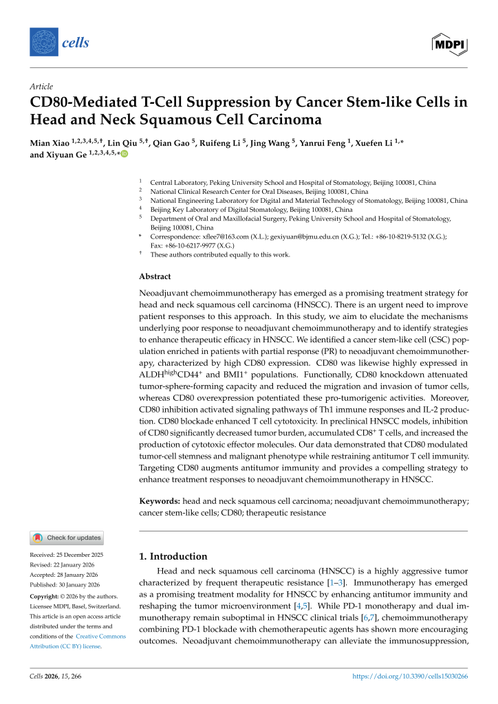 CD80-Mediated T-Cell Suppression by Cancer Stem-like Cells in Head and Neck Squamous Cell Carcinoma