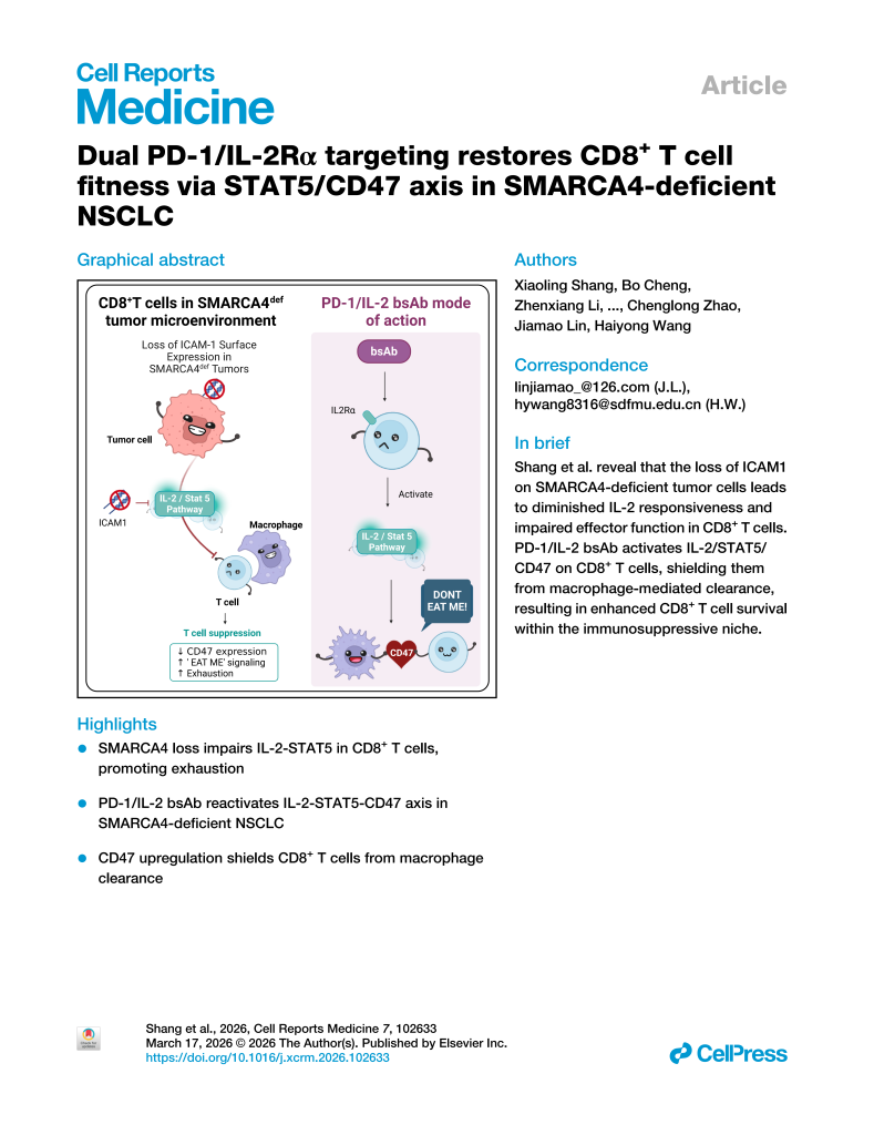 Dual PD-1/IL-2Rα targeting restores CD8+ T cell fitness via STAT5/CD47 axis in SMARCA4-deficient NSCLC