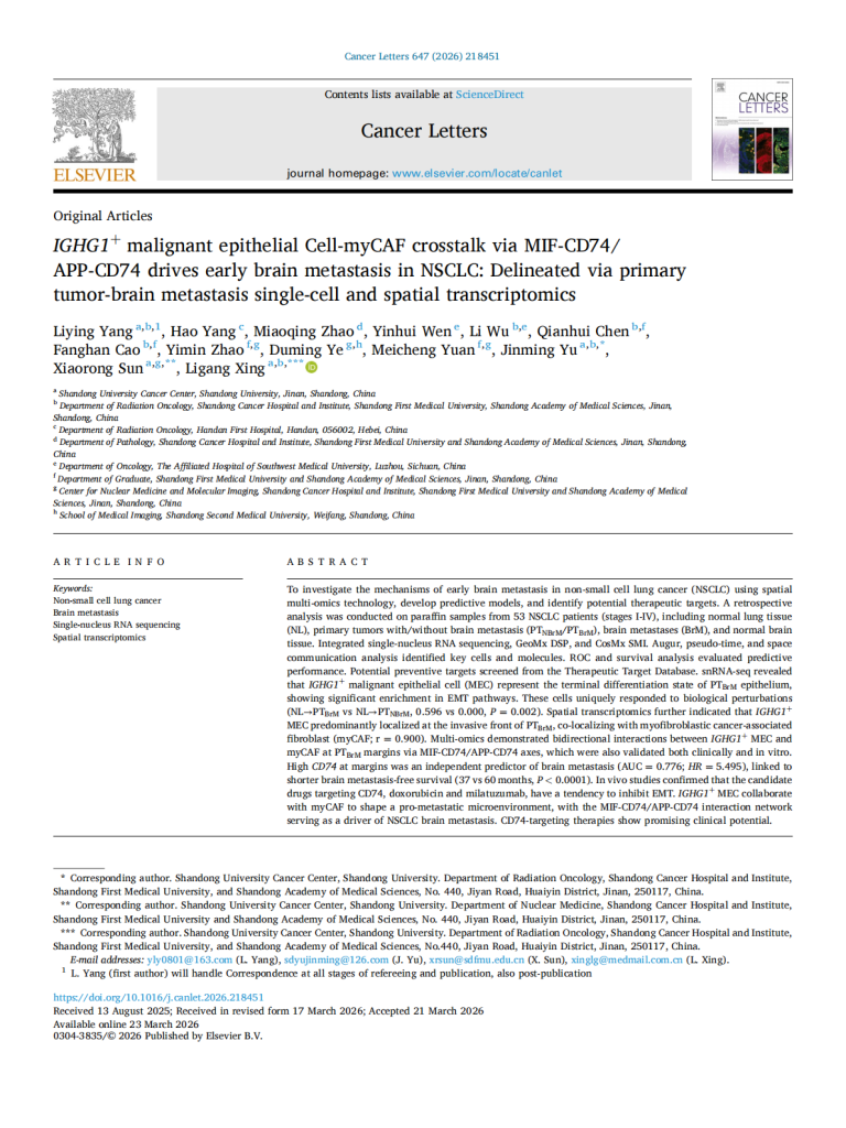 IGHG1+ malignant epithelial Cell-myCAF crosstalk via MIF-CD74/  APP-CD74 drives early brain metastasis in NSCLC: Delineated via primary  tumor-brain metastasis single-cell and spatial transcriptomics