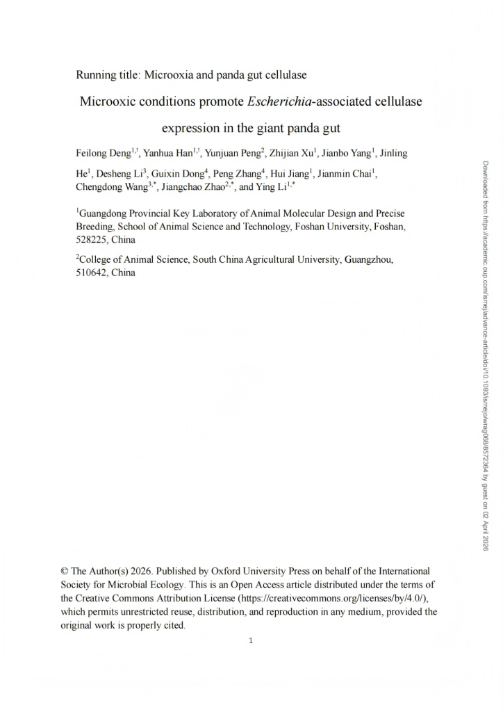Microoxic conditions promote Escherichia-associated cellulase expression in the giant panda gut